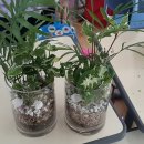 서촌초등학교 이미지