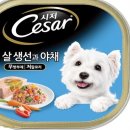 시저