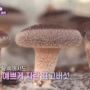 횡성상생장터