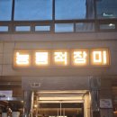 능동적장미 이미지