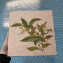 성심지업사 이미지