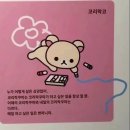 쏨다네일 | 「한해를 돌아보며」