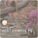 JL디자인컨설팅 | [발리여행] 🌴 발리 2일차, 발리 비치워크 쇼핑센터 쇼핑 후기 &amp; 이용 꿀팁 🛍️