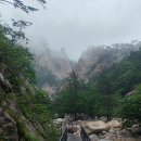 동이리주유소 이미지