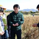 강진5호 이미지