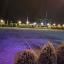 금평축산