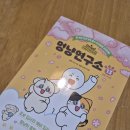 멍냥펫 | [도서 리뷰] 비마이펫 멍냥연구소 13권 후기 – 반려동물의 마음을 읽는 초보 집사 필독서