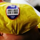 서울서래초등학교 이미지