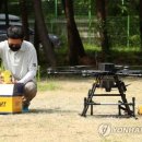 동강농협하나로마트 이미지