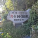 애플마트노들점