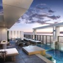 소노펫 스쿨 이미지