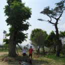 서일농장2 이미지