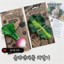 올리앤캐롤 케일 순무 치발기 천연소재로 안심하고 사용할 수 있는 치발기 내돈내산추천 세척방법