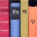 사이서가 이미지