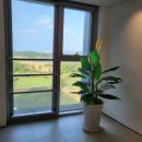 성산 마리나 호텔 이미지