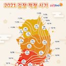 아이엔씨 이미지