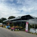 [식물구매팁] 꽃과 식물, 화분 모두 구매 가능한 수원원예농협 한국화훼농협 K-flower