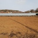 인삼공인중개사사무소 이미지