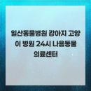 24시 나음동물 의료센터 | 일산동물병원 강아지 고양이 병원 24시 나음동물의료센터
