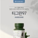 티그린 이미지