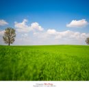 베스트목장 이미지