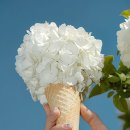 아이디어플라워 이미지