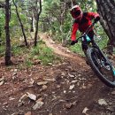 산타 크루즈 이미지