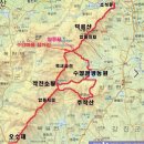 메가관광농원 이미지