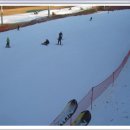 양지파인리조트 이미지