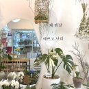 명진드라이 이미지