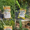 시온농약친환경자재 | [원예 리뷰] 안전하고 강력한 토탈싹 친환경 병해충관리제, 총채벌레약으로 차단!