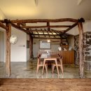 하도하도1929 이미지