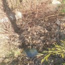 남강축산 이미지