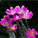 새생명요양병원 이미지