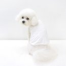 핑크강아지 이미지