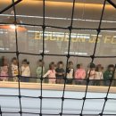 예능영재유치원 이미지