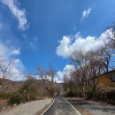 천년 보리밥 | 내돈내산).#시골보리밥집.#파주손두부맛집.#보광사맛집.천년고찰보광사.서울근교드라이브.파주애견동반...