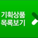 동화여행사