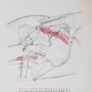 형제한의원 이미지