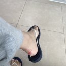 홍상희동물병원 이미지