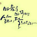 파코메리뷰티스테이뷰티토탈