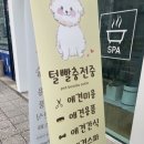 털빨충전중 이미지
