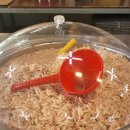 성환토굴새우젓 이미지