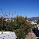 현대사슴농장 | 전남 순천 봉화산(366m) 꽃사슴이 산다는 봉수대의 조망 명산(2025.11.14)