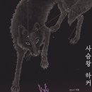 선 스시 이미지