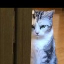 유워시셀프세차장 이미지