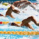 리프레시 이미지