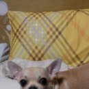 간석3동-12 이미지