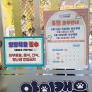 (유)큐리더 | 전주 고양이 카페 아이캣유 아이들과 가기 좋은 힐링 카페 후기