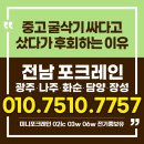 건일중기